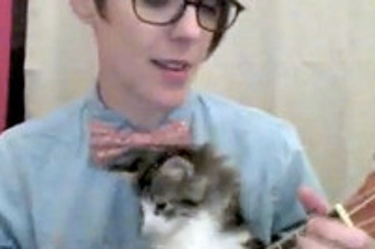 Foster Kitten Helps Play Nerdy Love Song