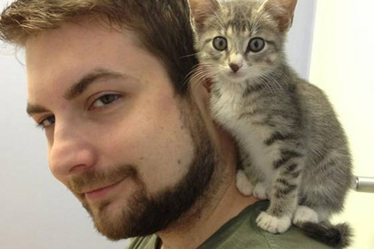 Stray Kitten Finds His Human