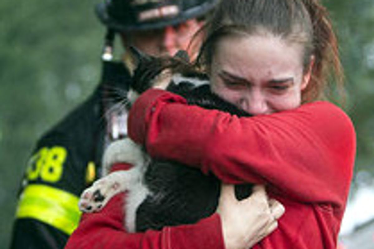 Firefighters Save Cat From House Fire: Emotional Reunion
