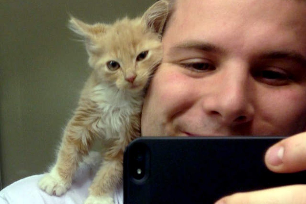 Garage Kitten Finds A Shoulder To Snuggle On