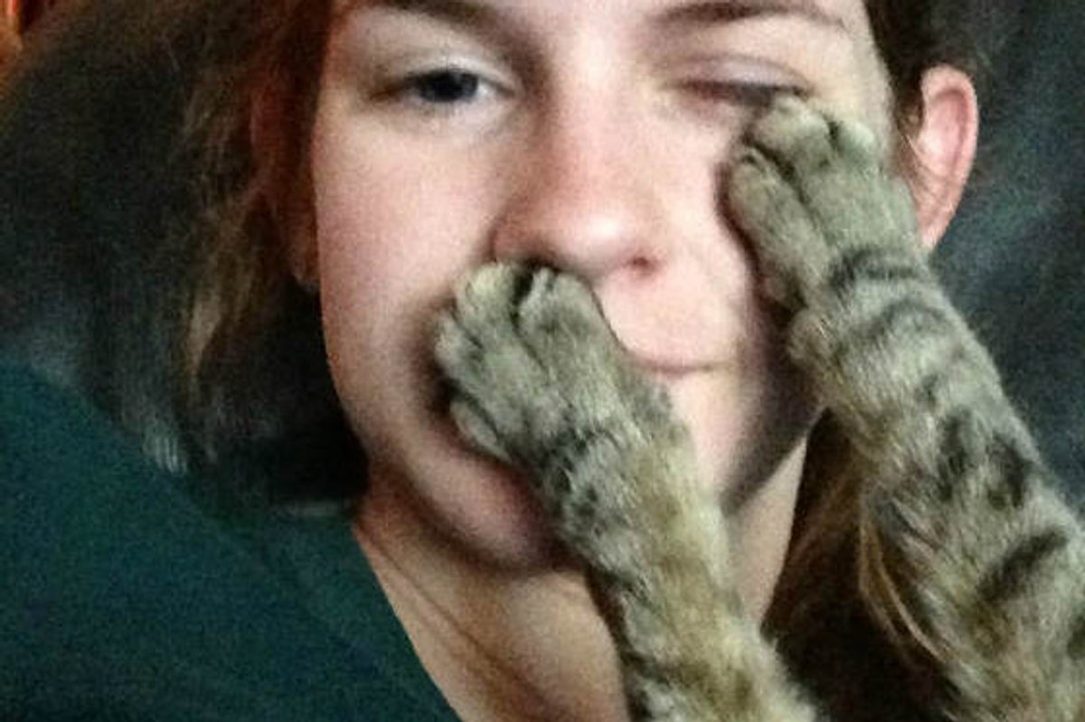 How My Cat Naps With Me