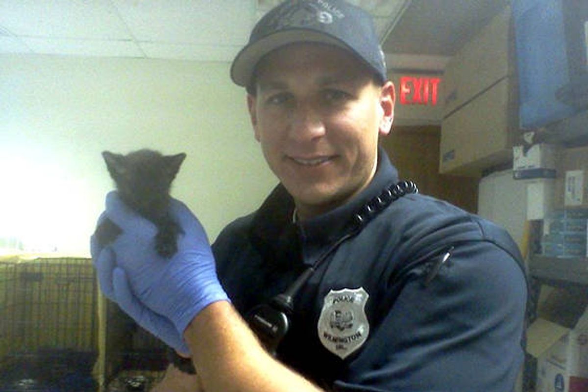 Police Officer Saves Tiny Kitten From Abandoned Home