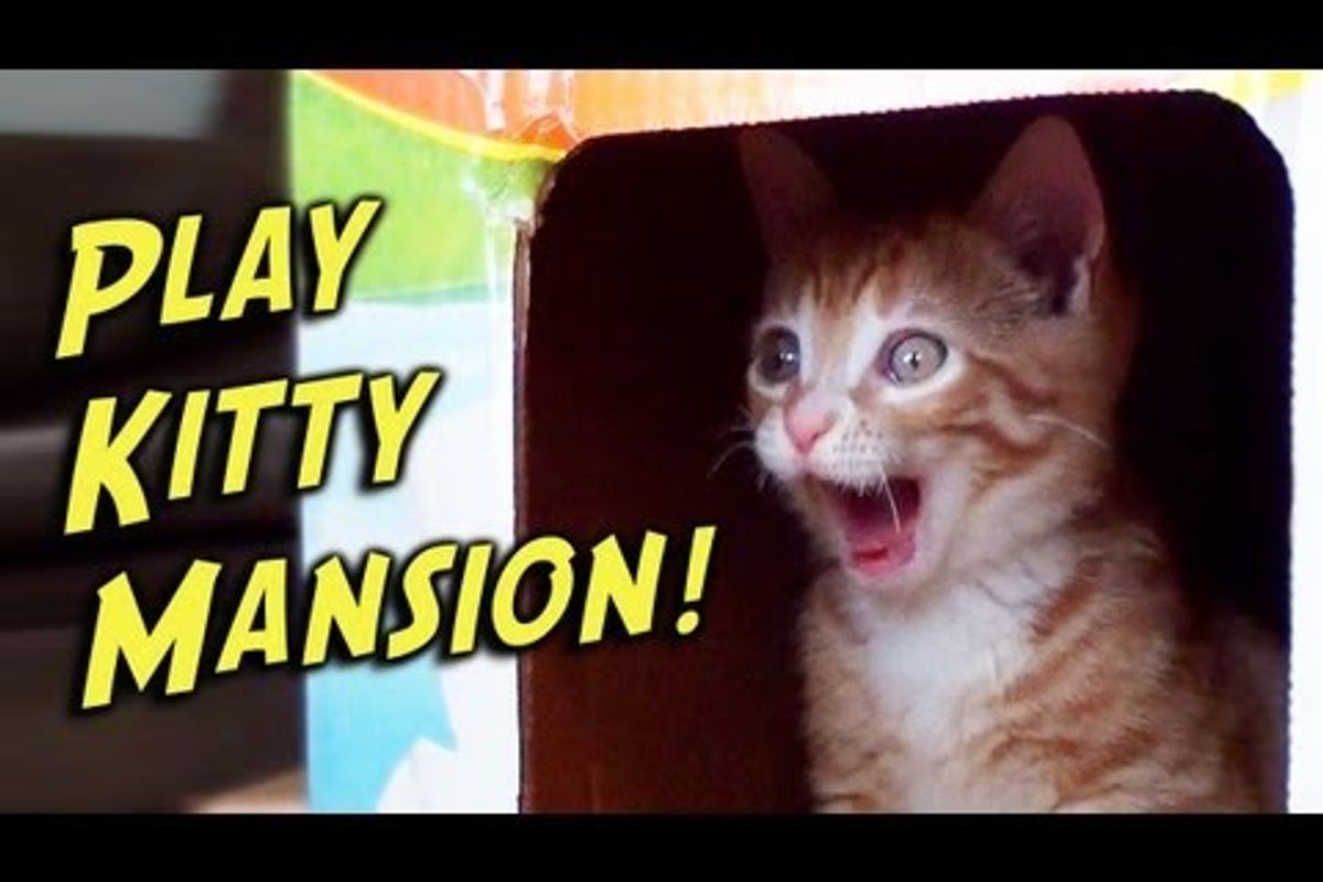 Play-Kitty Mansion