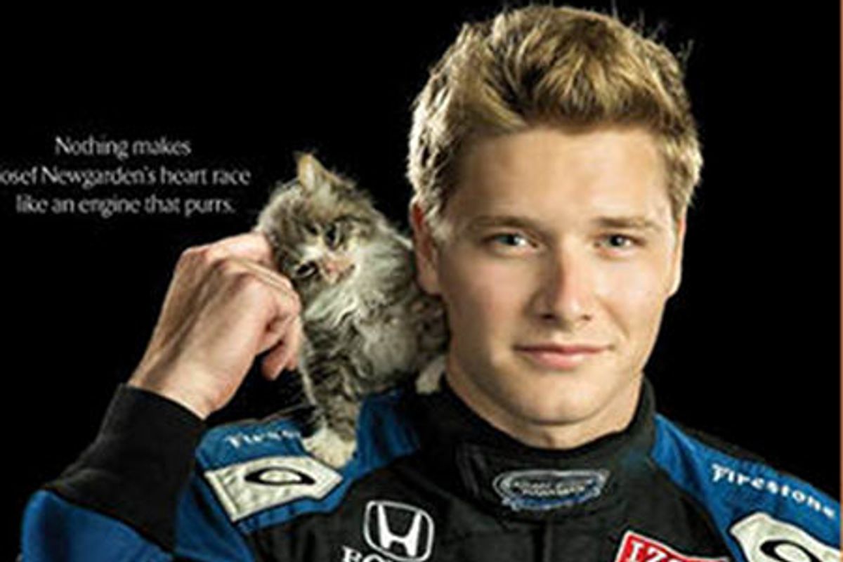 IndyCar Driver Adopts Kitten He Met In Baltimore Shelter