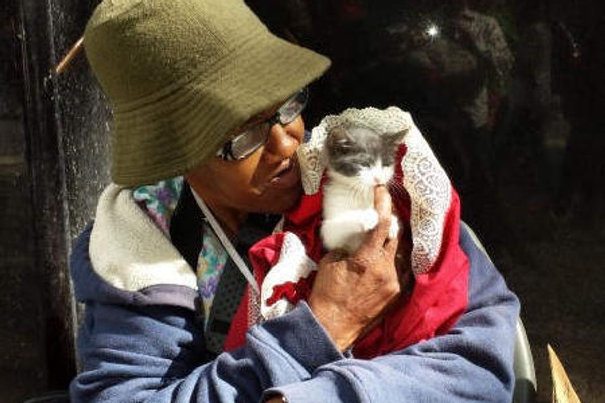 Kitten Gives Hope to Homeless Woman
