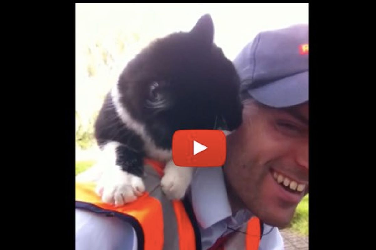 Postman Pat And His Black And White Cat