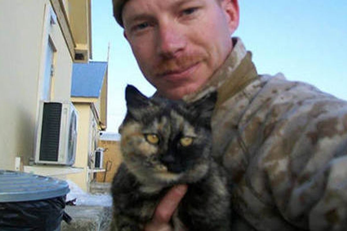 Tortie Cat Strays Into Soldier's Heart
