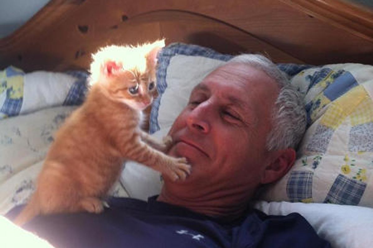 Kitten Fills Loneliness In Man's Heart