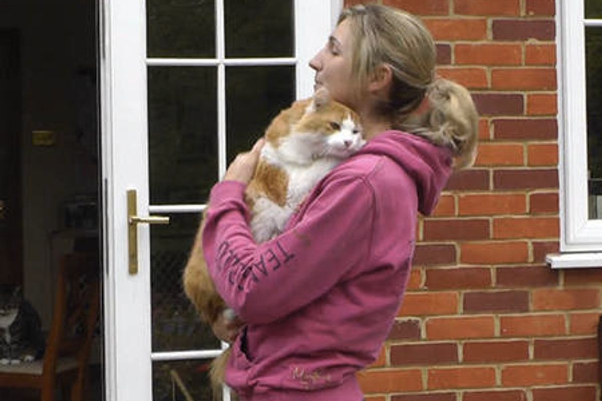 Feral Cat Finds Loving Home