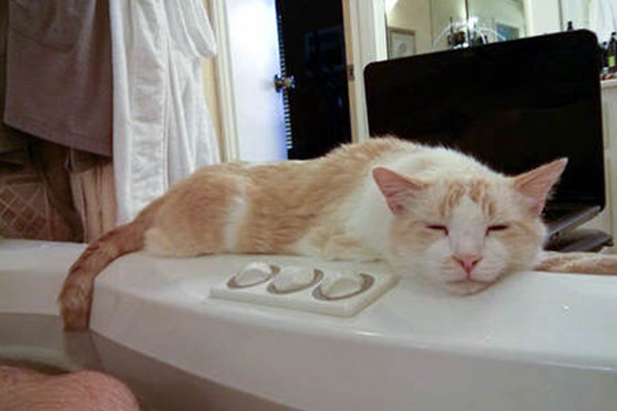 "I Can't Even Take A Bath Without Him."