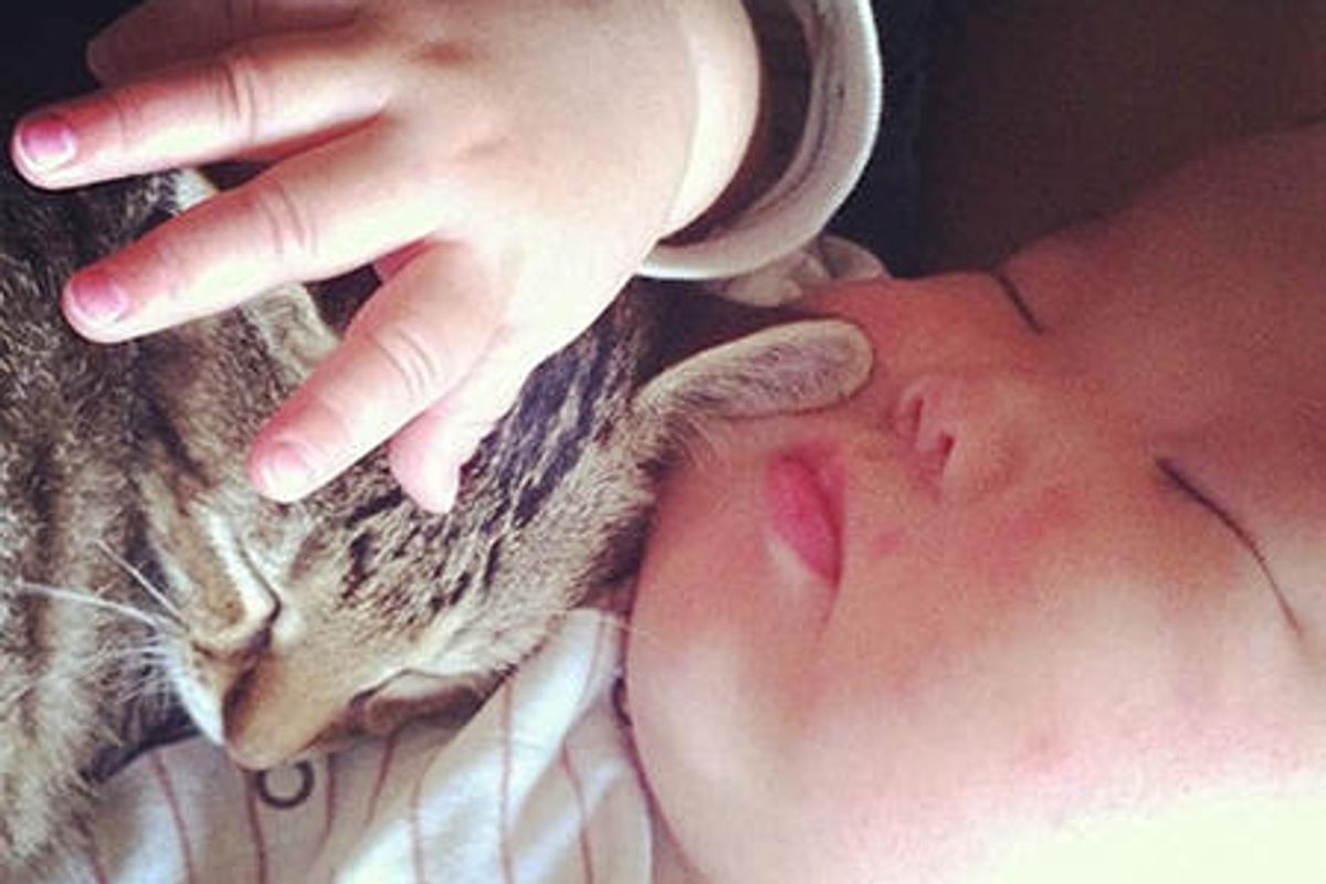 Toco The Cat And His Human: Growing Up Together