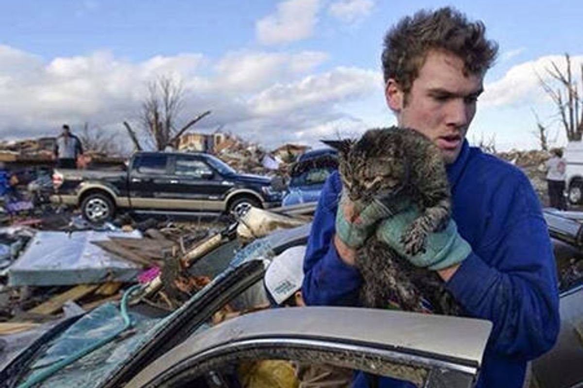 Cat Rescued From Rubble After Midwest Tornados
