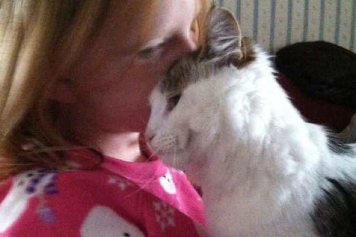 6 Year Old Girl Saves Stray Kitten By Meowing To Her