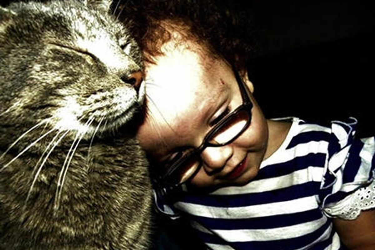 Special Needs Child Meets A Cat. This Happens...