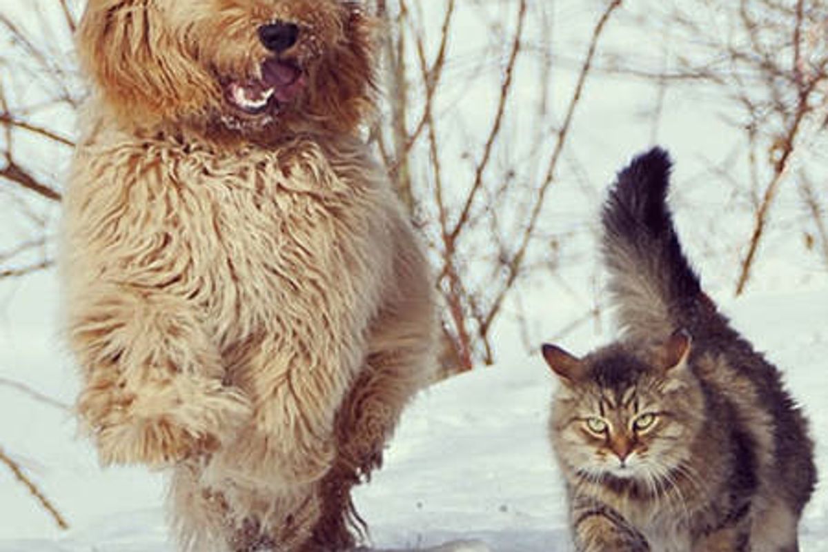 True Friends Always Stick Together