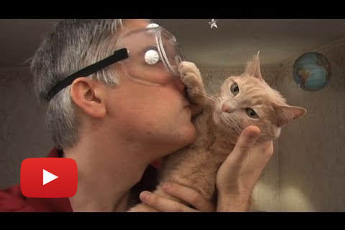 An Engineer's Guide to Cats 2.0 - The Sequel
