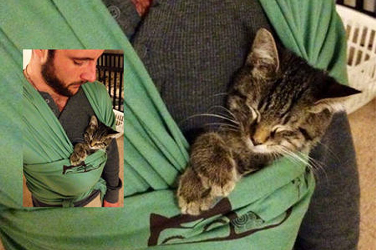 Kitten Helps Human Practice To Be A Dad