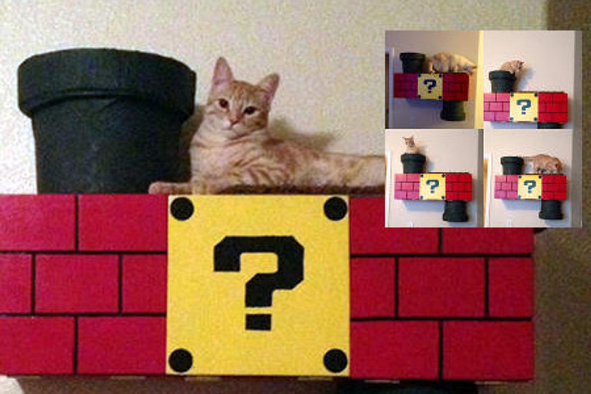 Nintendo Themed Cat Climber