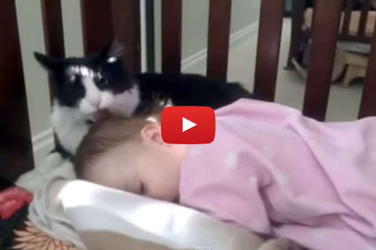 Kitty Gives Baby A Bath