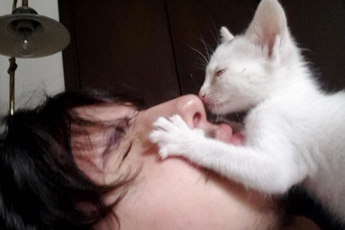 Man Saves Tiny Stray Kitten, She Can't Stop Thanking Him