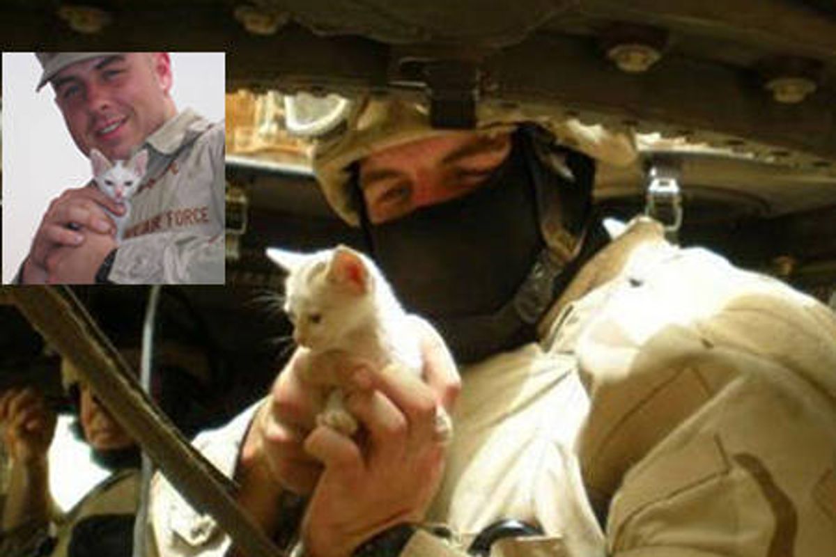 Soldiers Save Kitten From Iraq Sandstorm