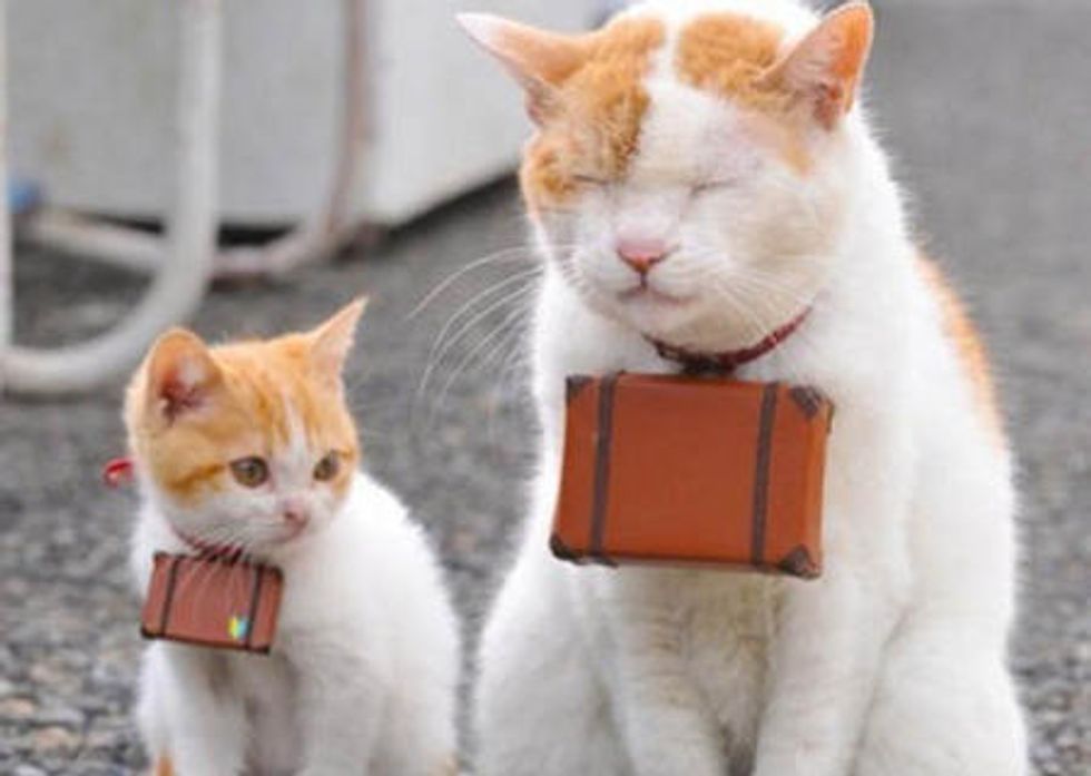 Cutest Guides To Japan: Nyalan And Deshi