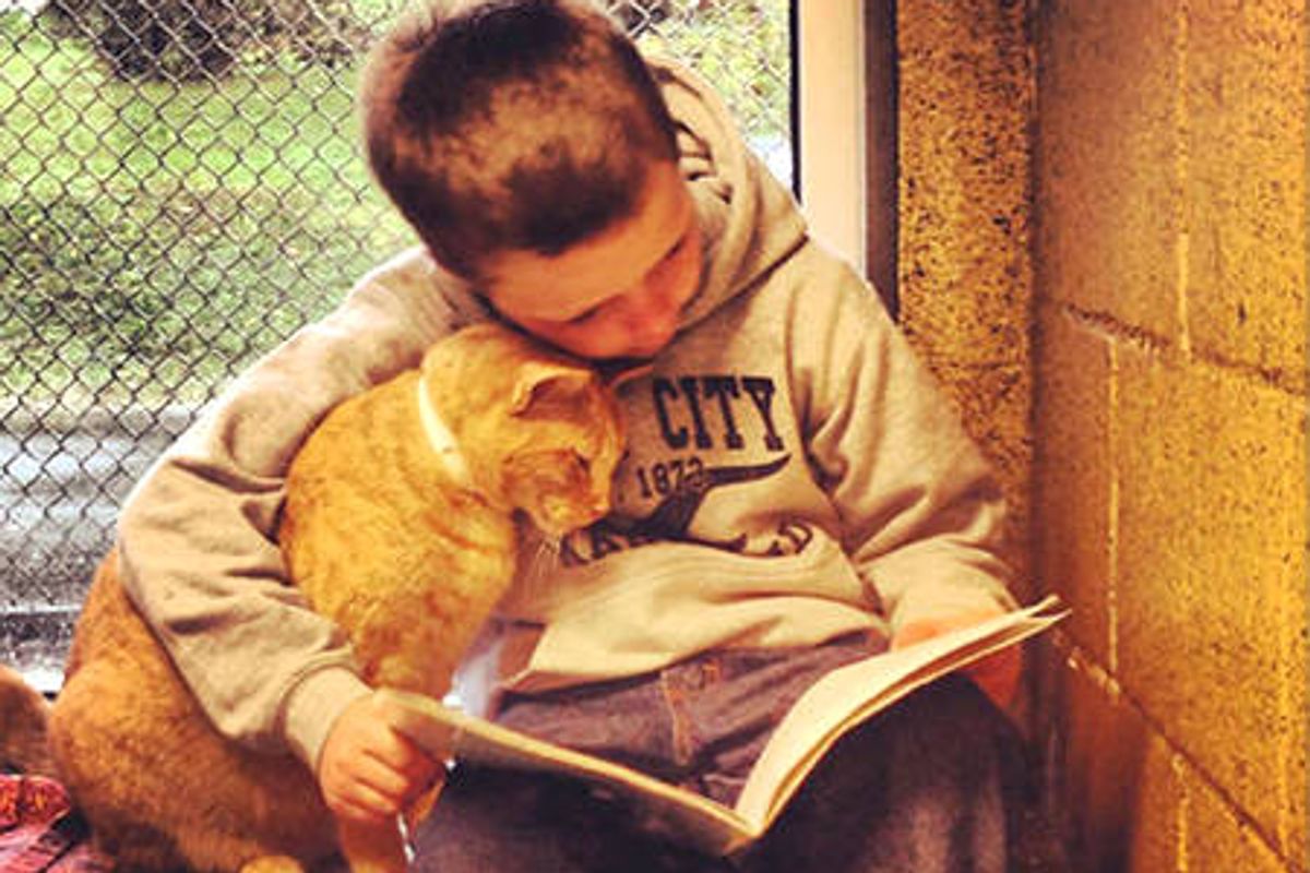 Children Read To Shelter Cats To Soothe Them