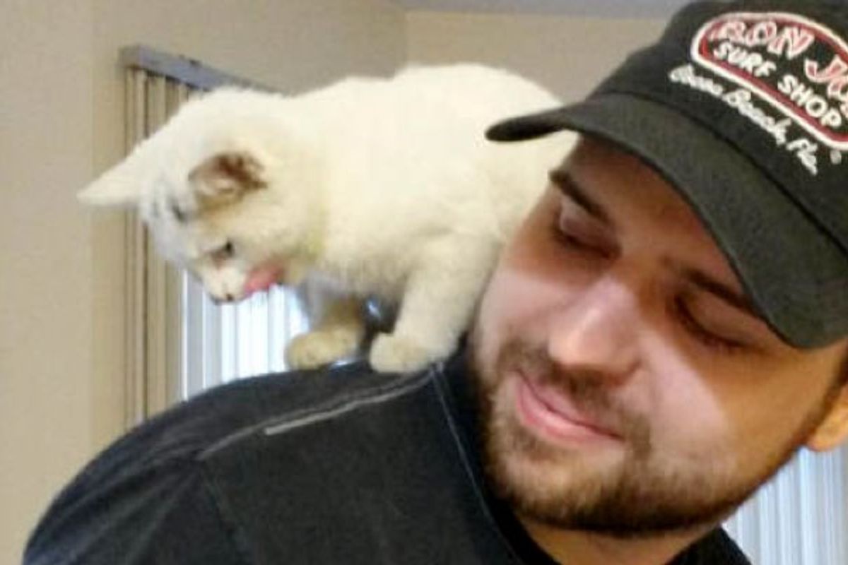 Luna's Rescue Journey from Stray Life to Forever Home