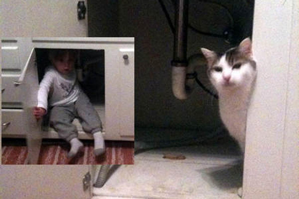 Afraid Of The Vacuum!