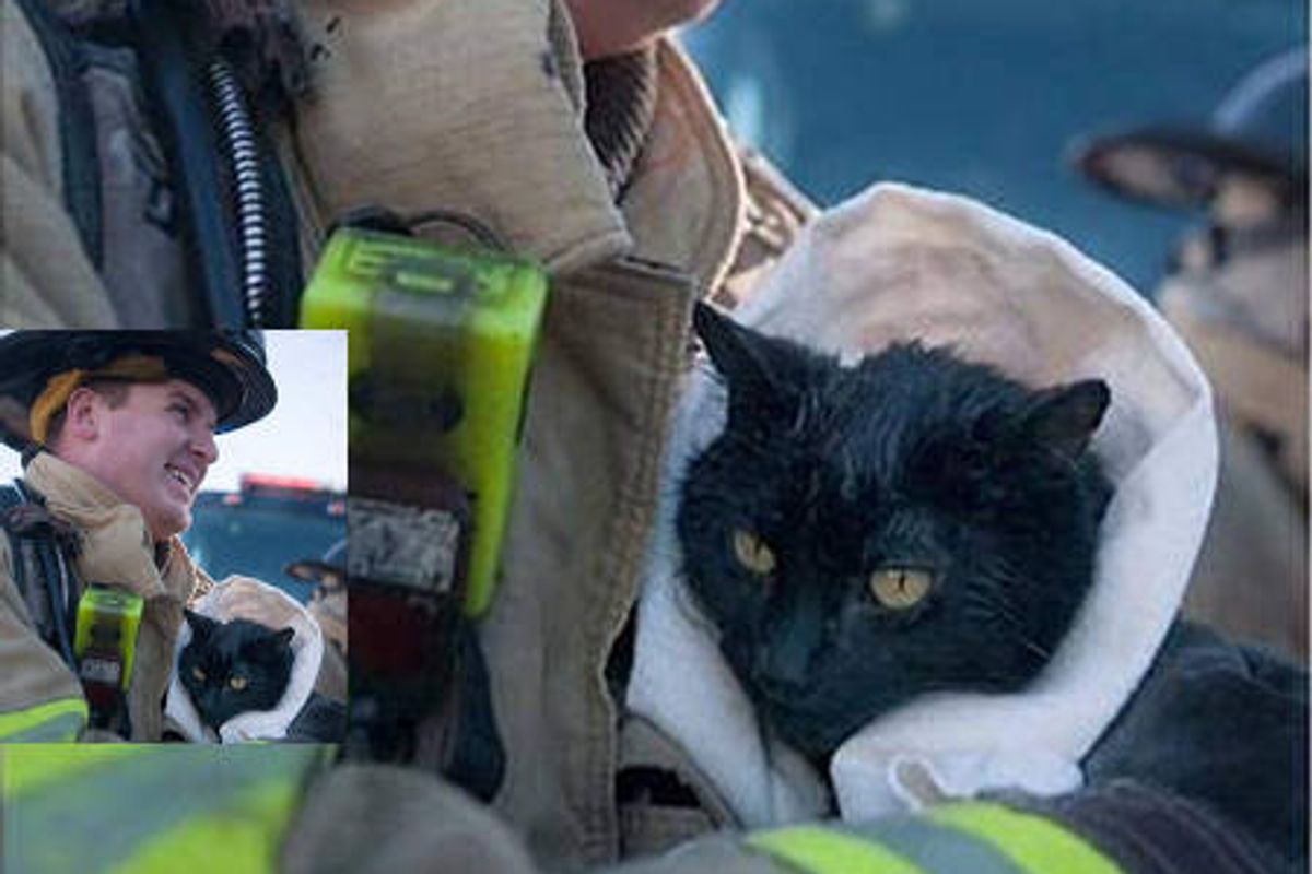 Firefighter Rescues Cat From House Fire