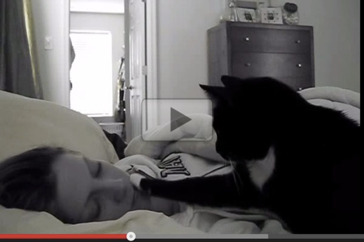 Kitty Cat Wake Up Call