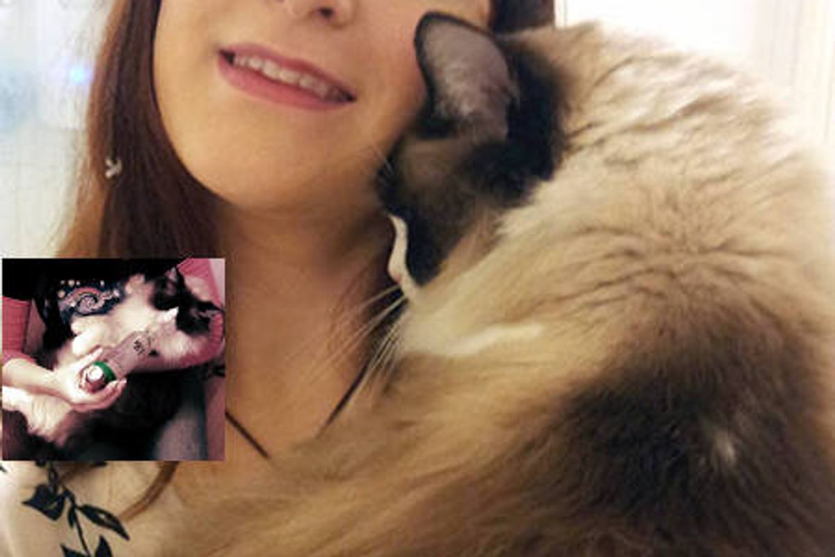 Asthma Doesn't Stop Couple From Adopting Mojo The Cat