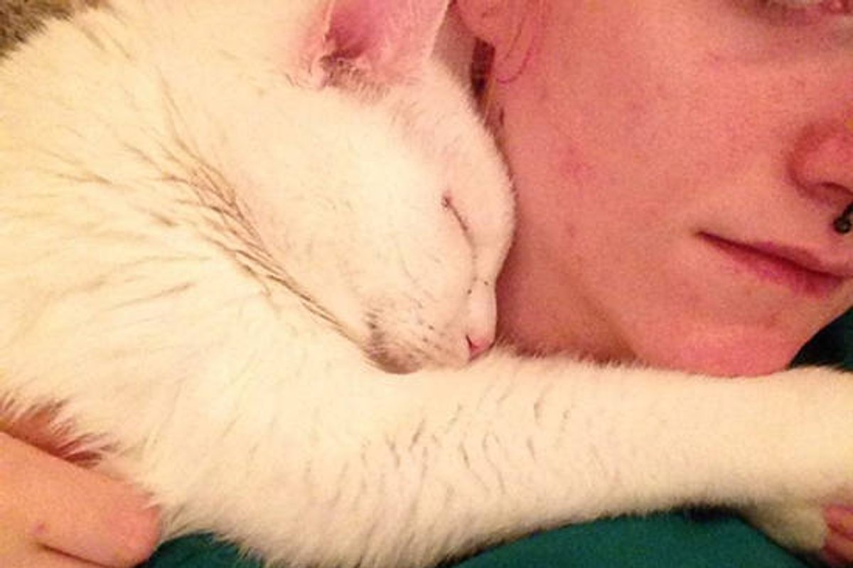 8 Year Old Shelter Cat Cuddles His Adopter