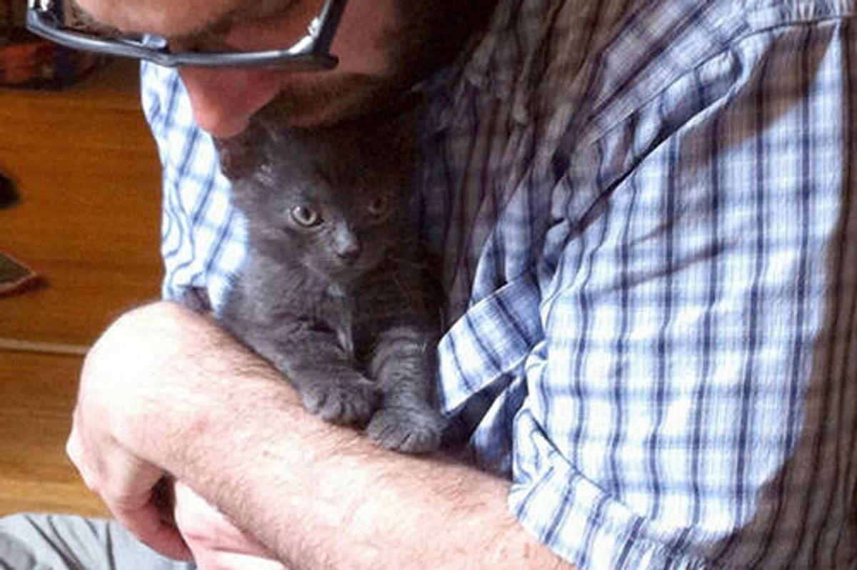 Quincy The Kitten Finds Home