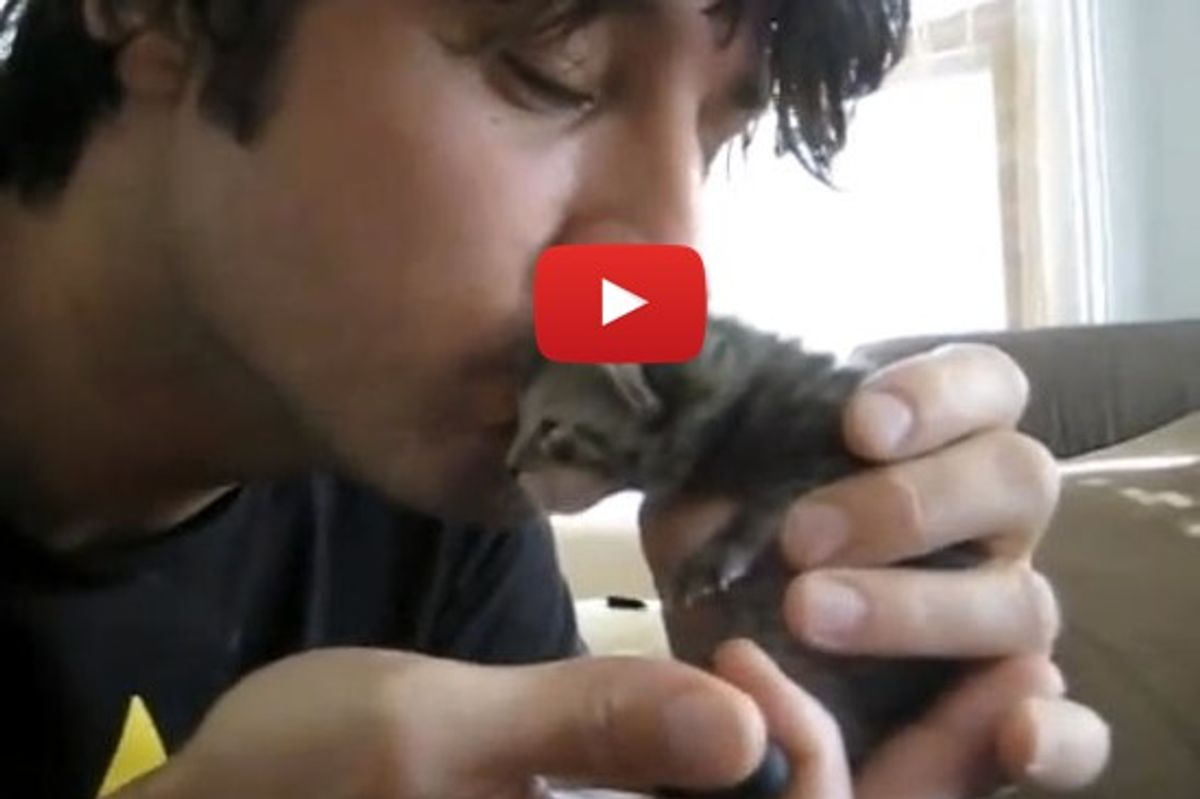 Miracle Kitten Rescue