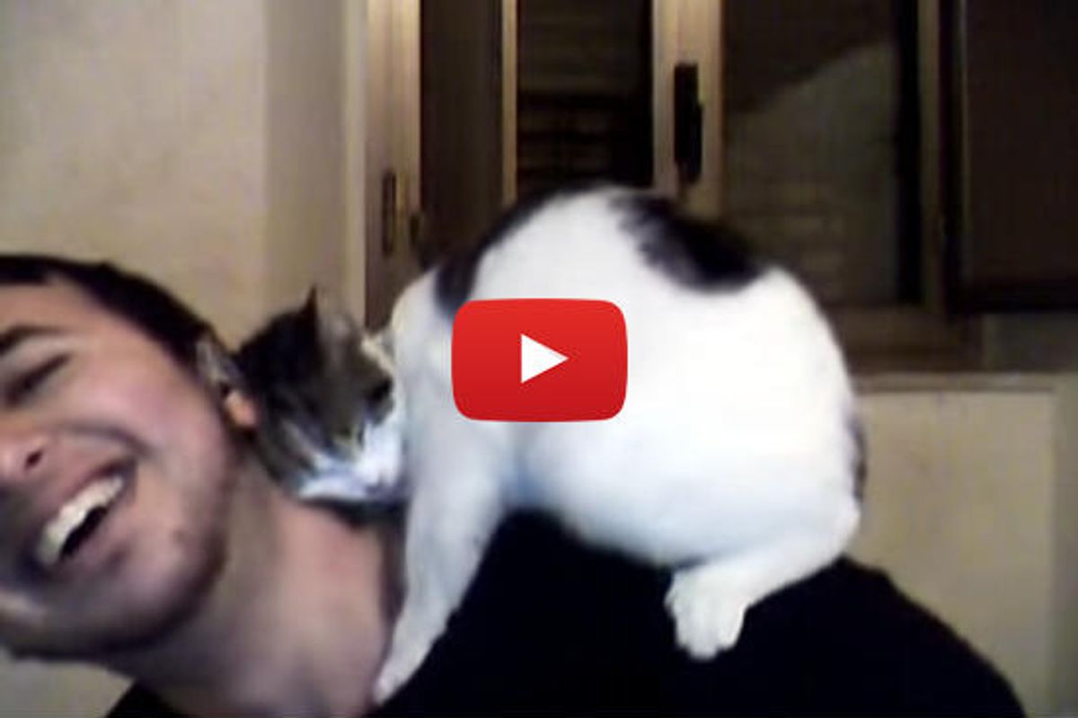 Kitty Loves Her Human