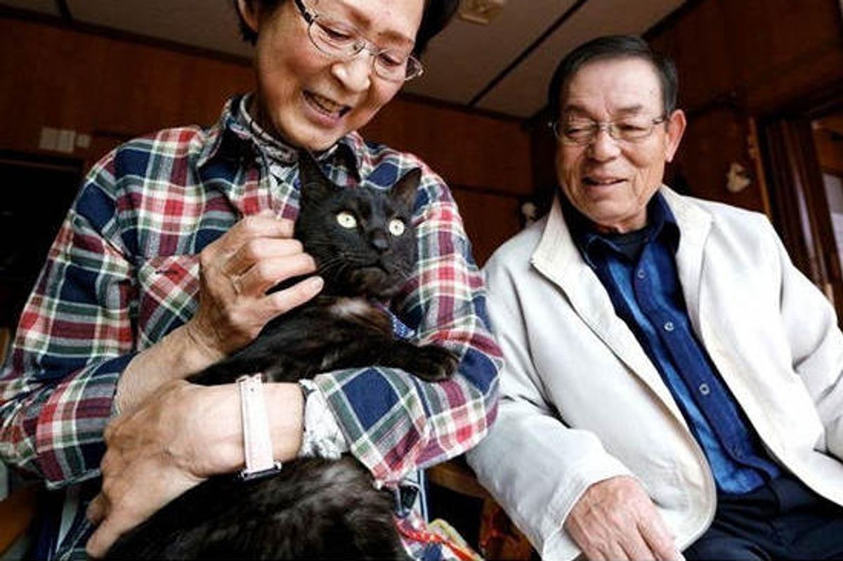 Cat Missing Since Japan Tsunami Reunited With Family After Three Years