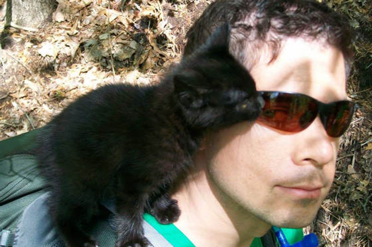 Abandoned Kitten Strays Into The Hearts Of Climbers