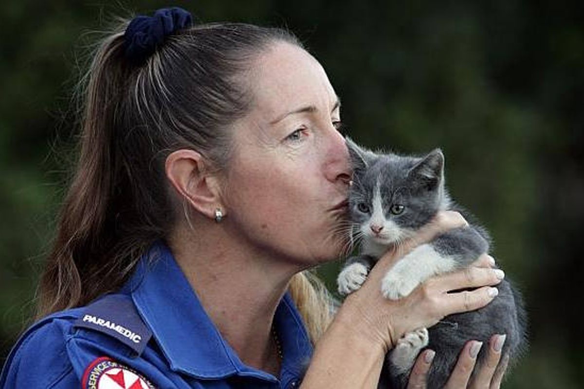 Smokey The Kitten Revived By Paramedics After House Fire