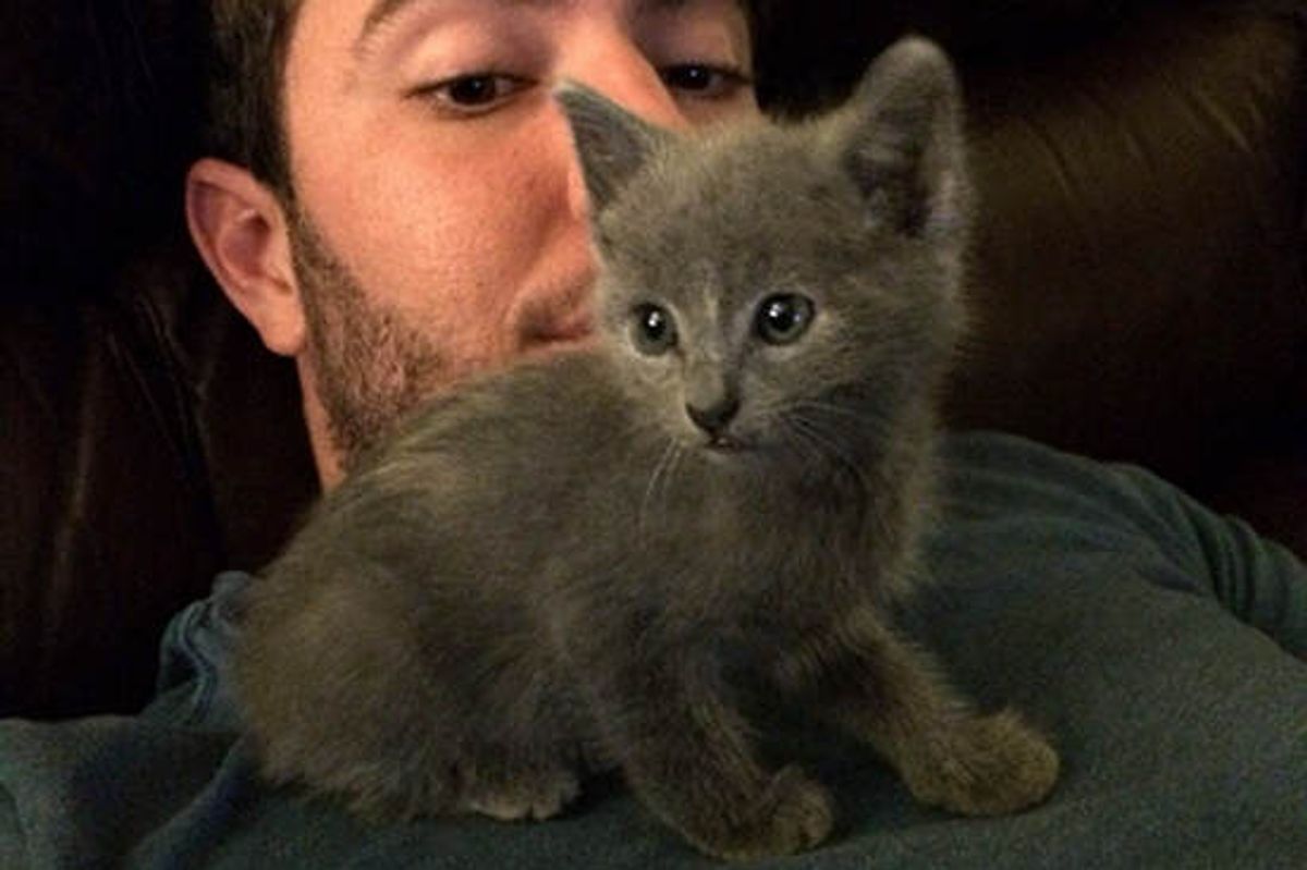 Penny The Kitten Rescued Twice