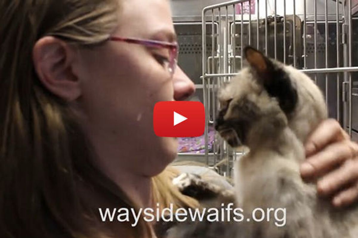 Cat Is Reunited With Family!