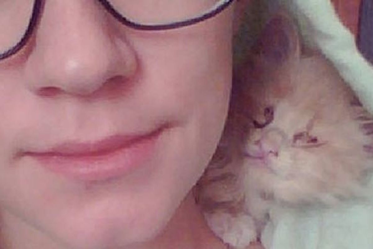 Rescue Blind Cat Always Snuggles With His Human