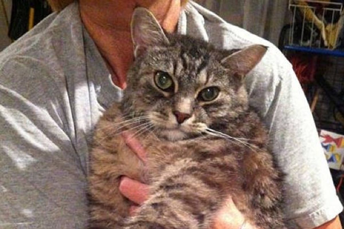 Jogger Swims To Save Cat Drowning In Carrier