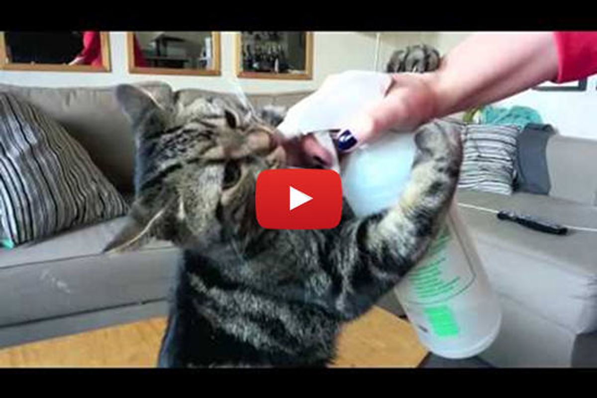 Joey Runs For His Water Bottle