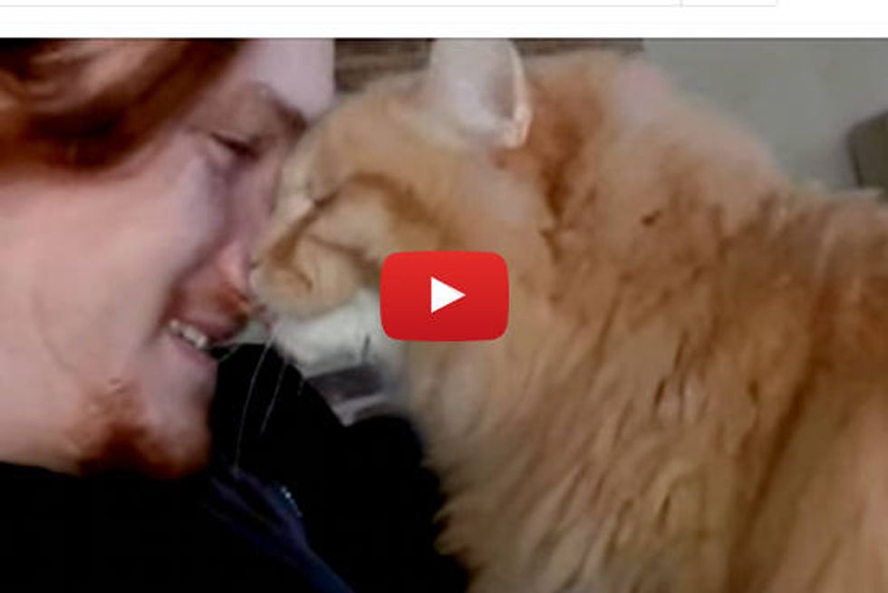 Max The Siberian Cat Loves His Human Dad