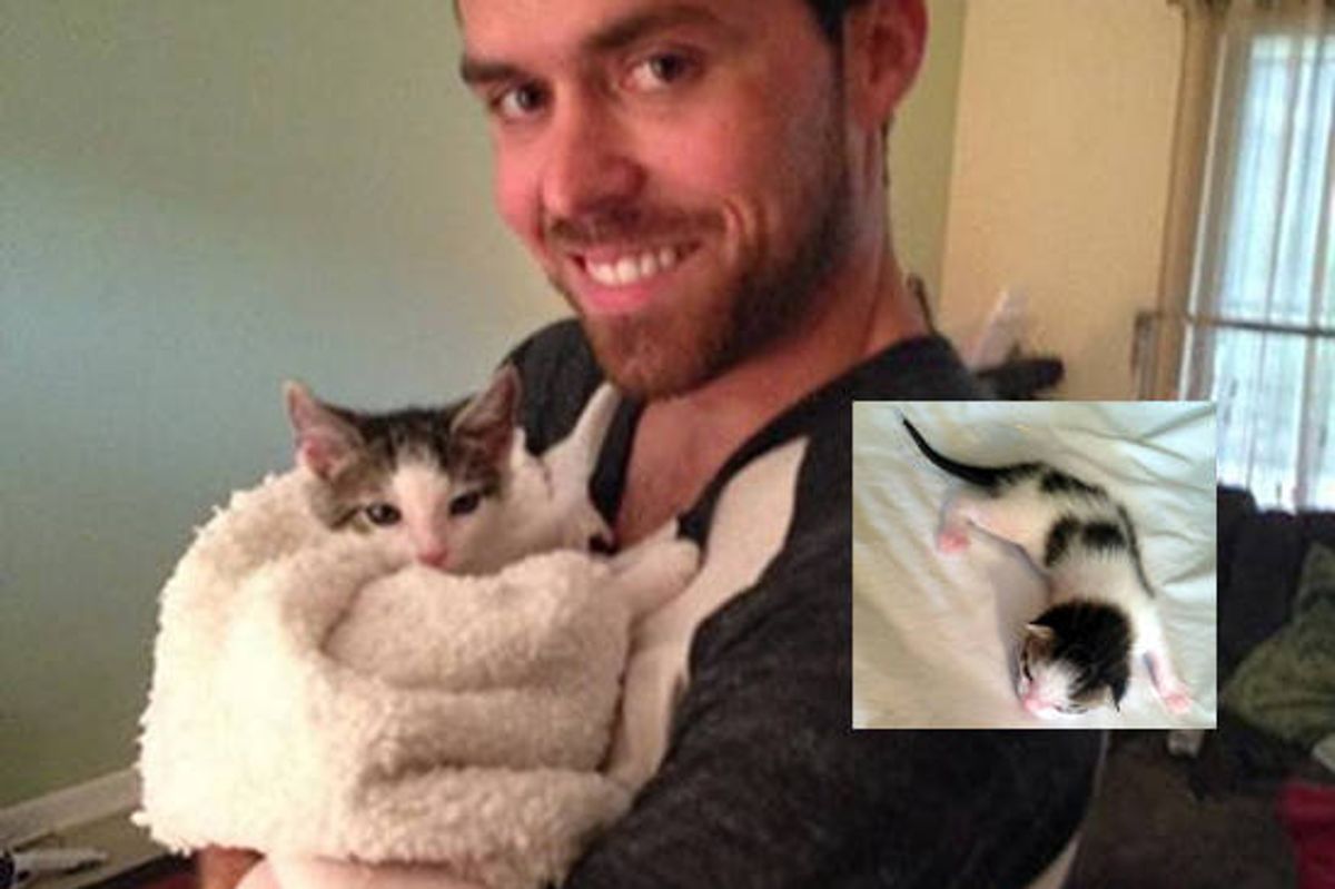 Tiny Kitten Journey To Forever Home