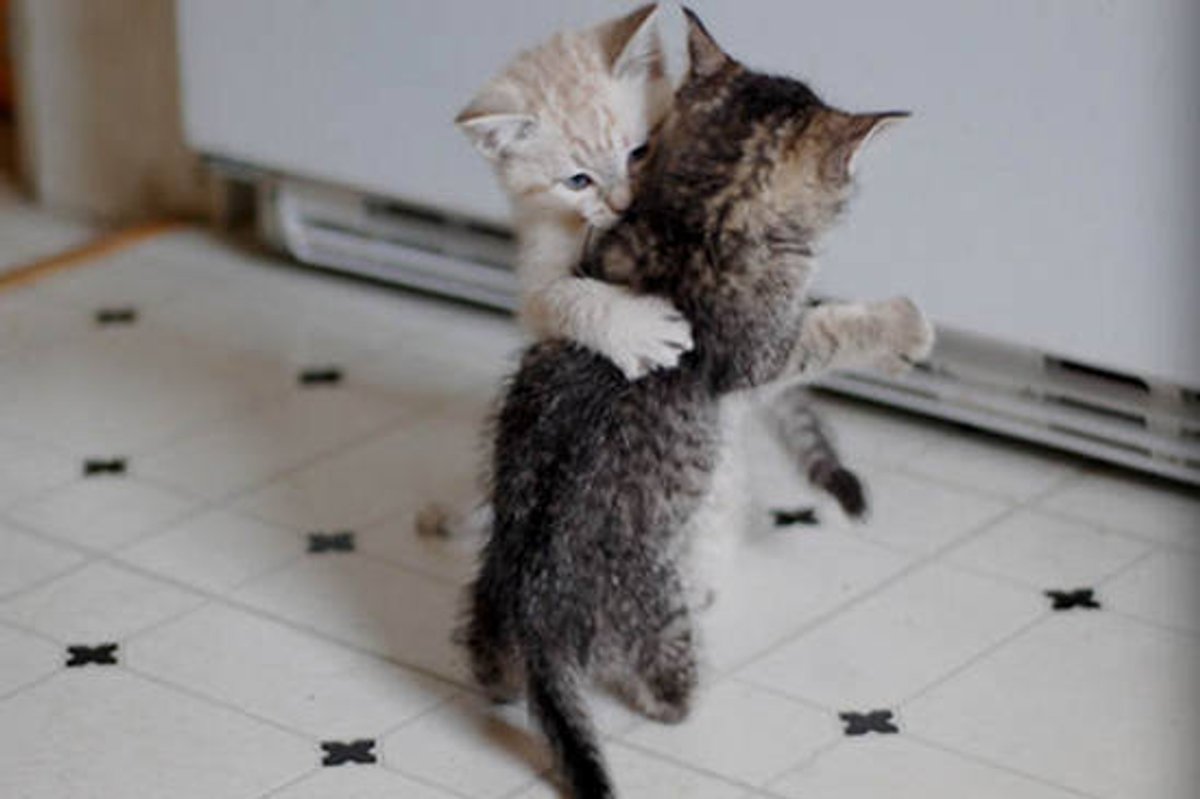 Riza and Mei: Then And Now