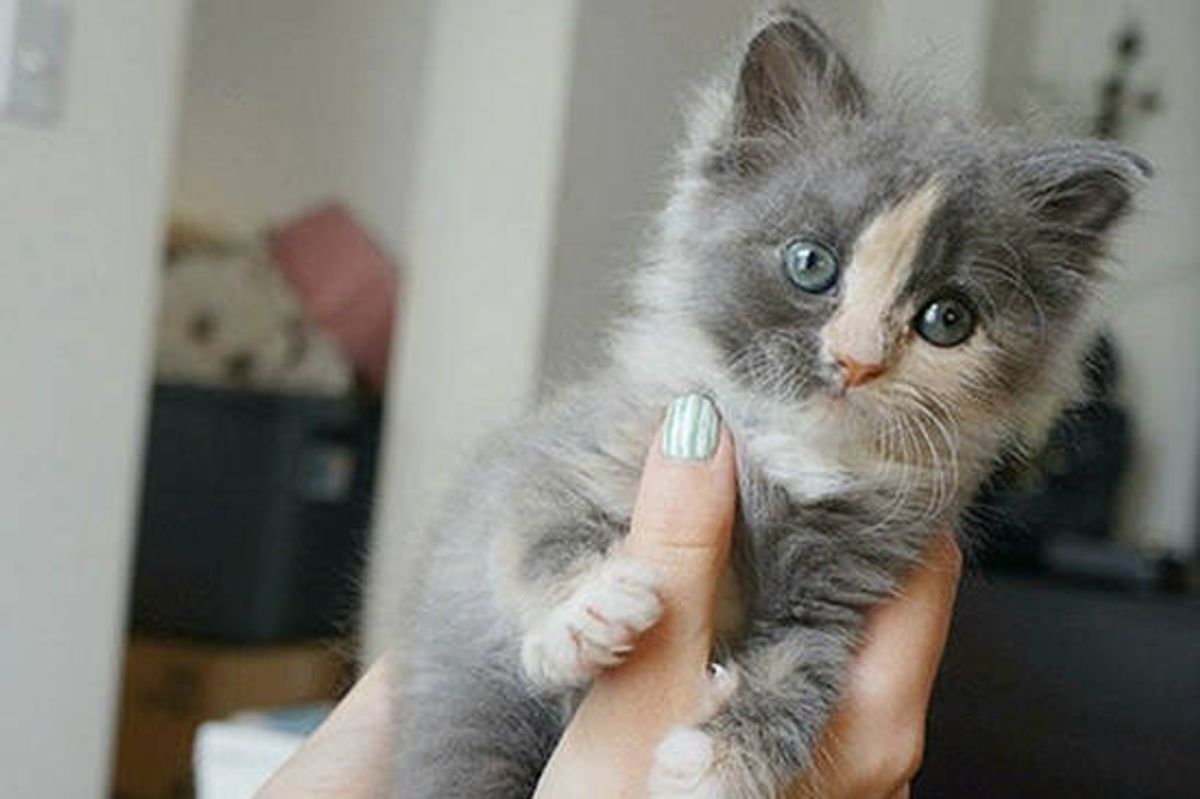Katniss The Rescue: Then & Now