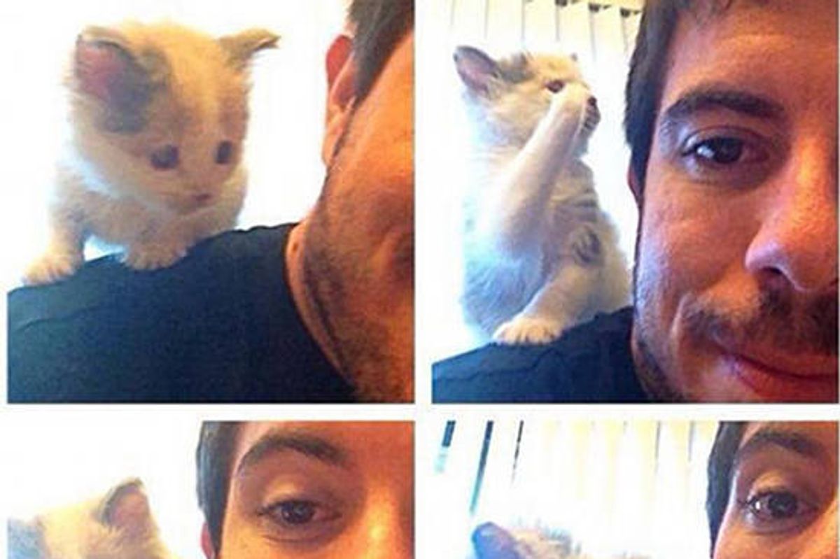 Blind Kitten Healing Thanks To Saving Grace: Then & Now