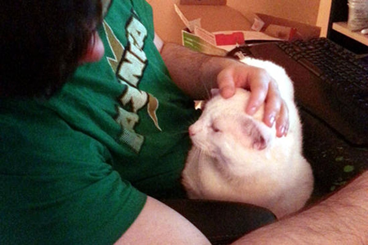 10 Minutes After 8 Year Old Cat Arrived In Forever Home...